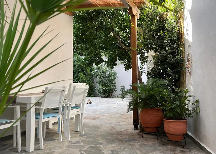 Maria\'S Jasmine